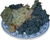 Uvas del Bierzo Uvas del Bierzo