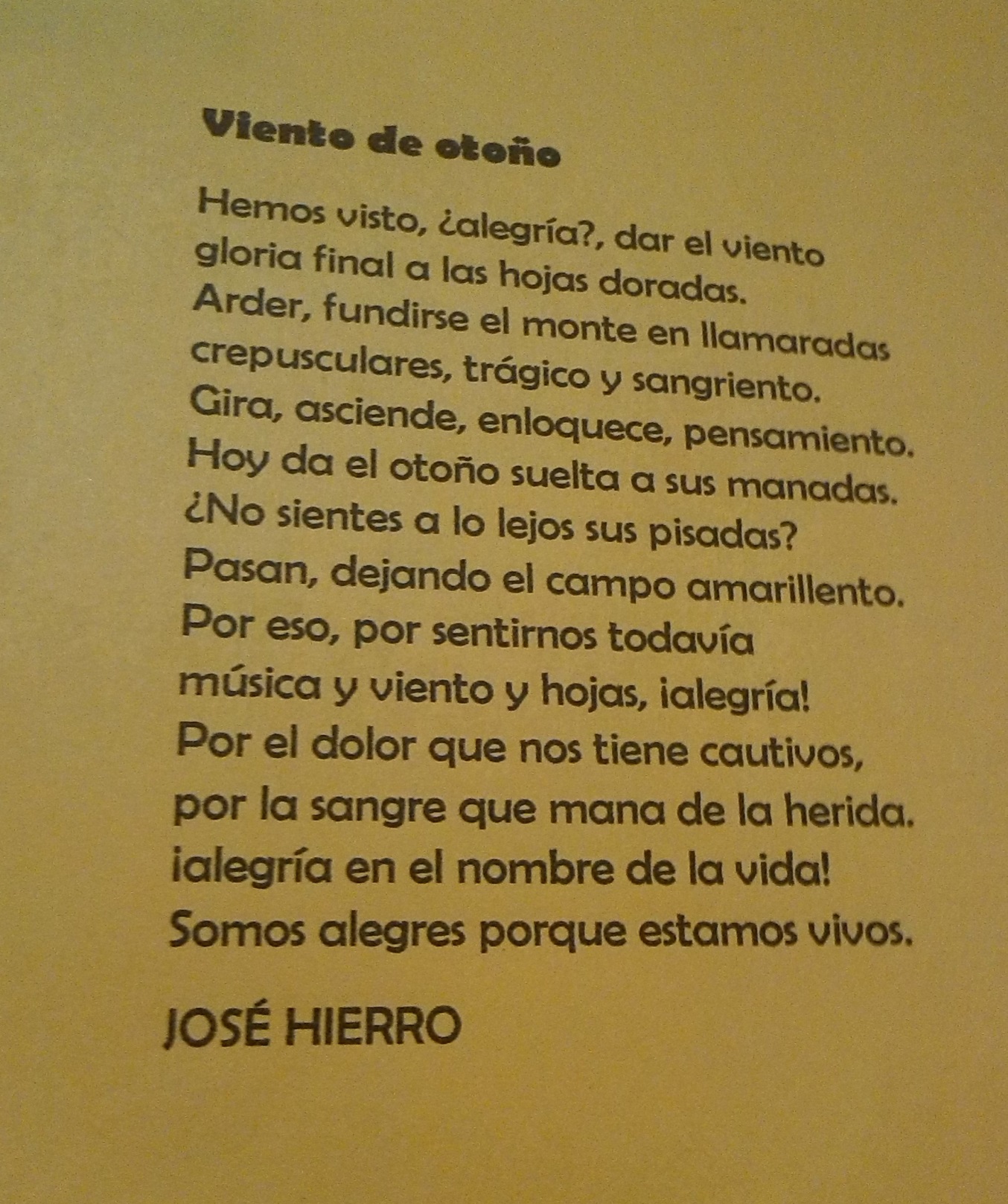 Expo música de otoño 3