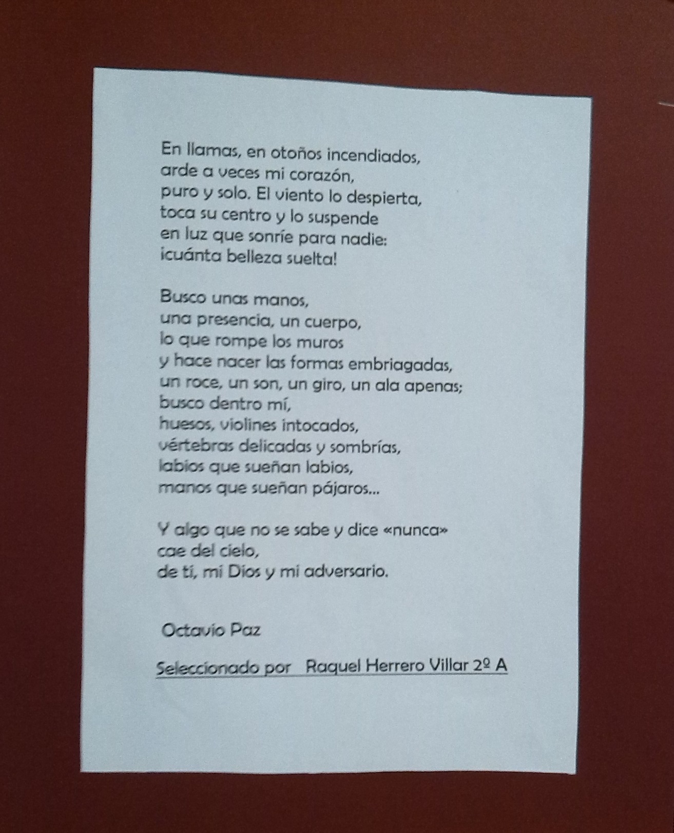 Expo música de otoño 4
