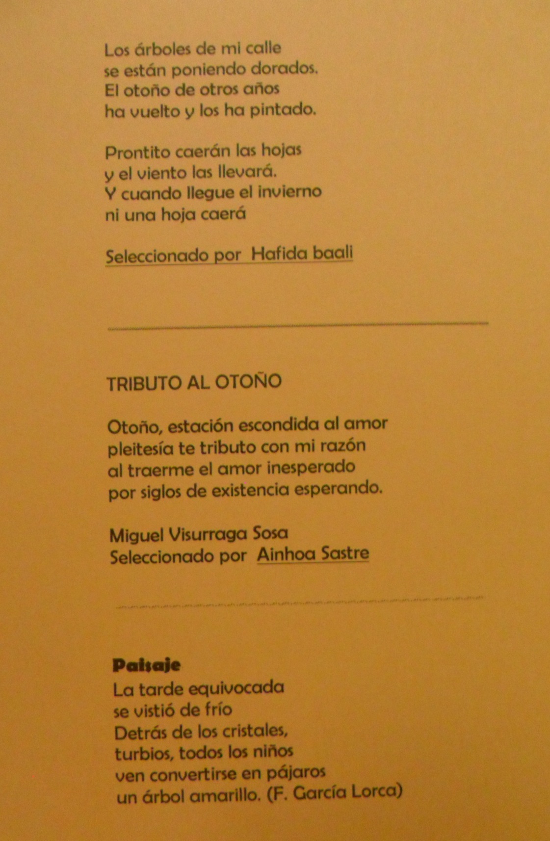 Expo música de otoño 6